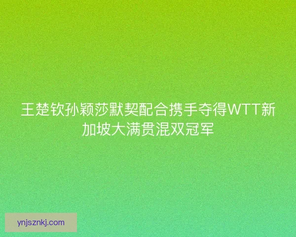 王楚钦孙颖莎默契配合携手夺得WTT新加坡大满贯混双冠军