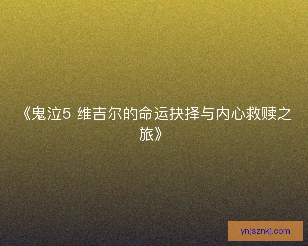 《鬼泣5 维吉尔的命运抉择与内心救赎之旅》