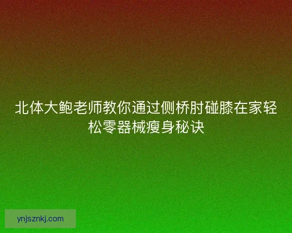 北体大鲍老师教你通过侧桥肘碰膝在家轻松零器械瘦身秘诀
