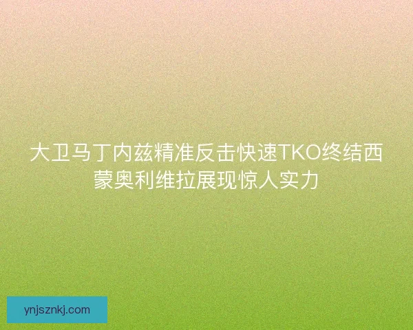大卫马丁内兹精准反击快速TKO终结西蒙奥利维拉展现惊人实力